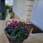Le Poulain Maison Cosy A La Campagne Prázdninový dům *