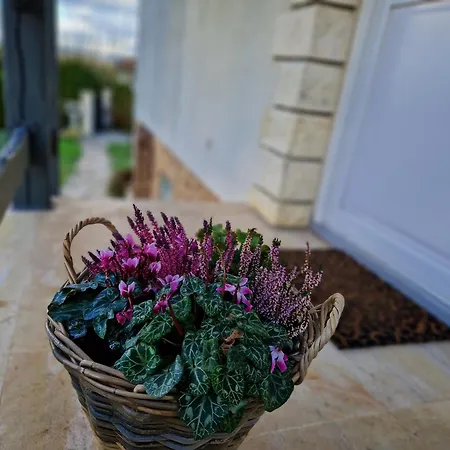 Le Poulain Maison Cosy A La Campagne Дом отдыха *